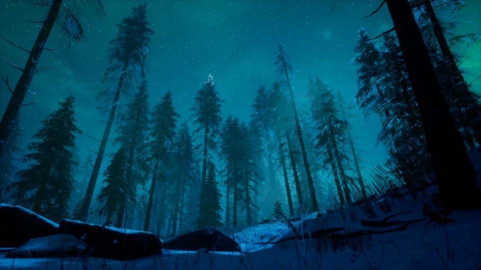 Aurora Pines